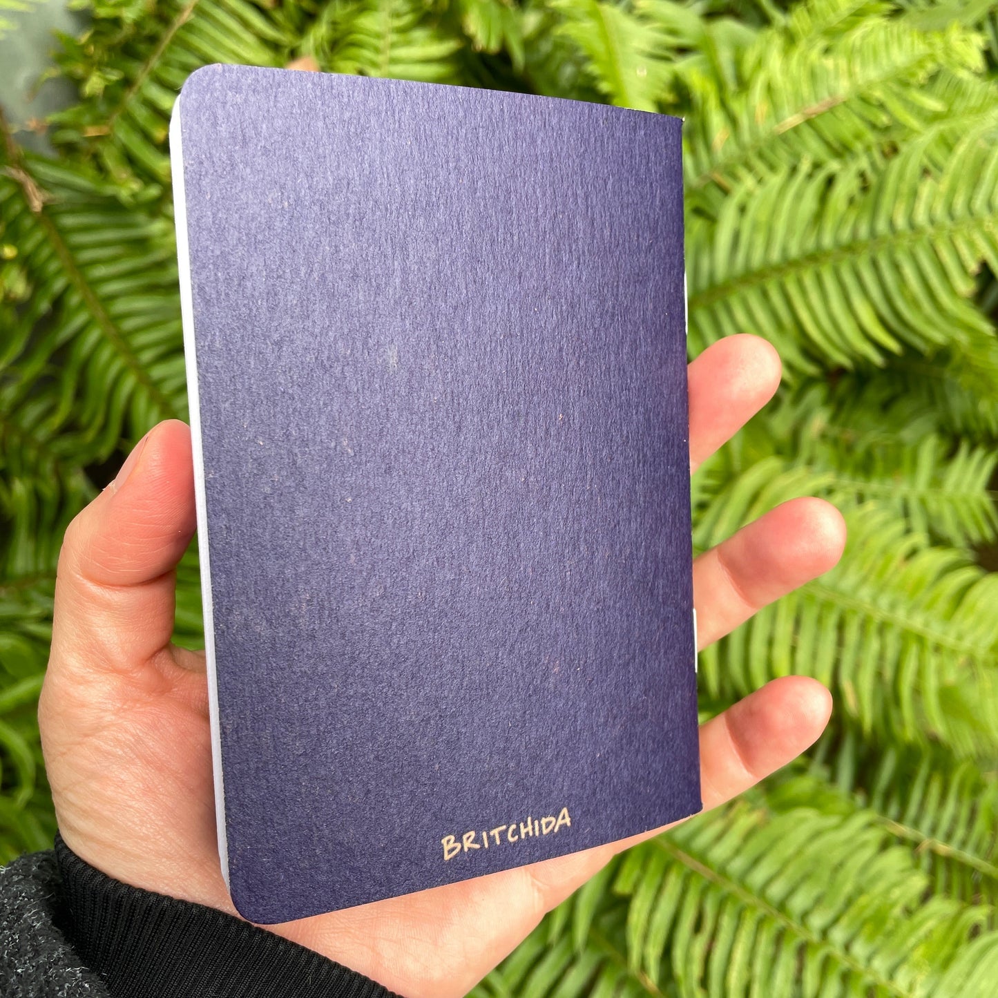 Begin Notebook