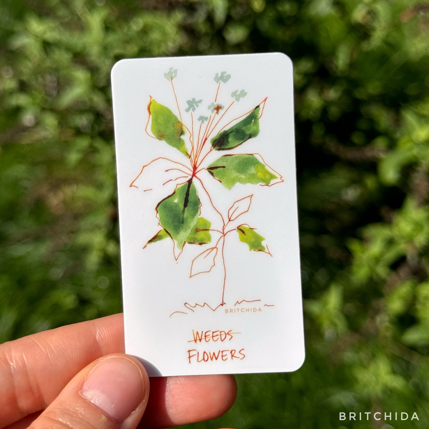 Sticker: Weed / Flower