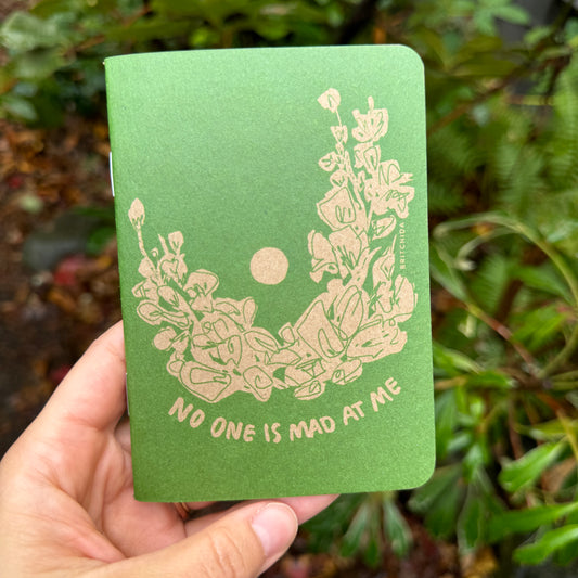 No One Is Mad at Me — notebook