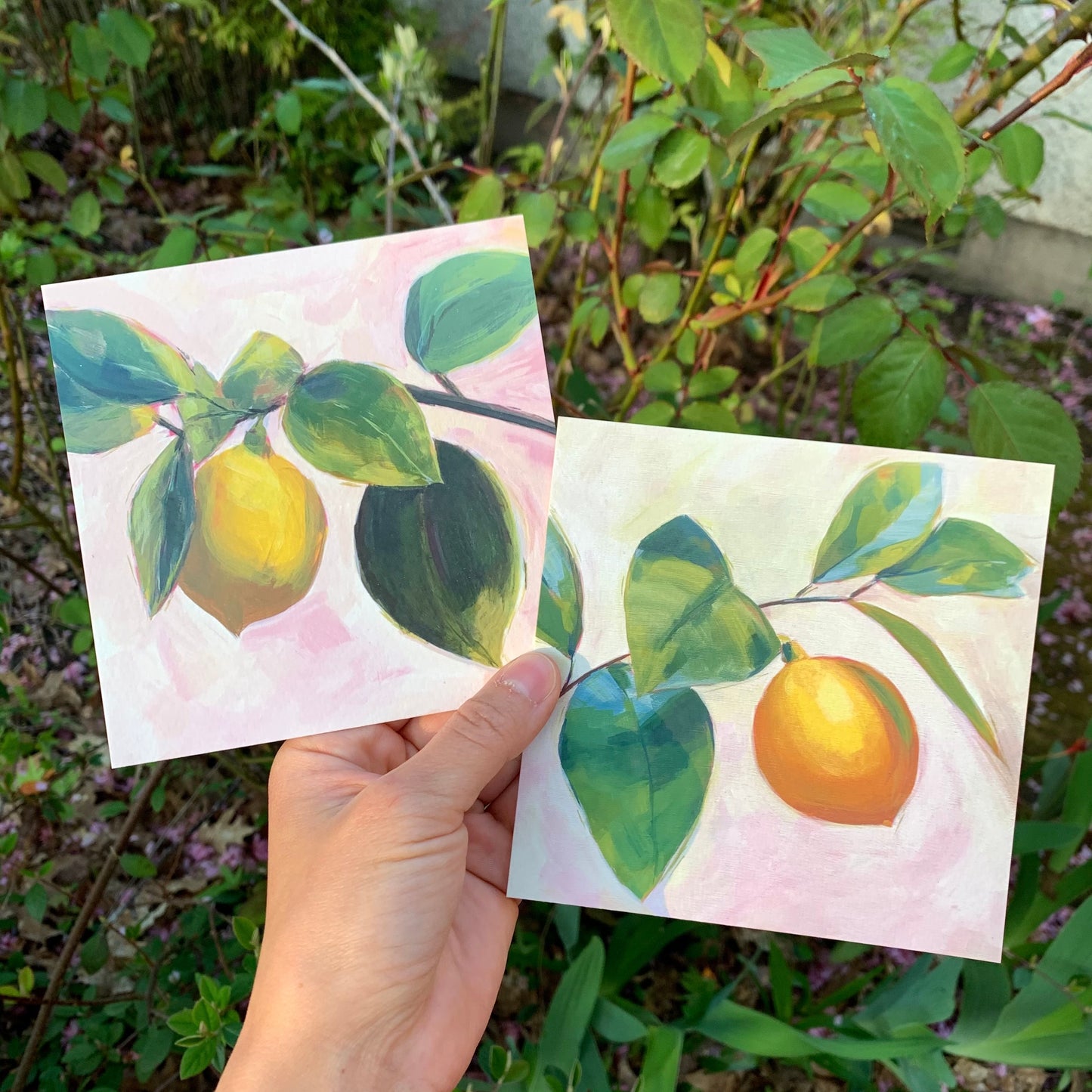 Lemons: print set