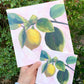 print in 2 sizes of gouache painting of 2 lemons hanging from a branch with a pink background