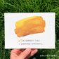 a yellow swatch of paint with a few small blue dots included inside of it. The yellow is labeled “the hardest time” and the blue is labeled “something wonderful”.