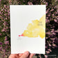abstract watercolor of a small red dot blending into large yellow cloud. Red dot labeled “the injury” and the yellow labeled “the pain.”