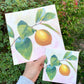 print in 2 sizes of gouache painting of 1 lemon hanging from a branch with a pink background