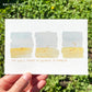 Three rough rectangles in a line with a yellow/sienna color in the lower half and a blue wash in the upper half. There are darker sienna marks indicating a growing twig. The diagram is labeled: The Early Stages of Gender Euphoria.
